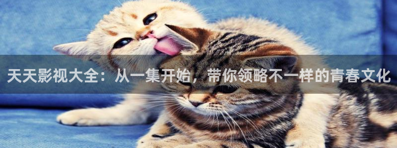 电视熊猫：天天影视大全：从一集开始，带你领略不一样的青春文化