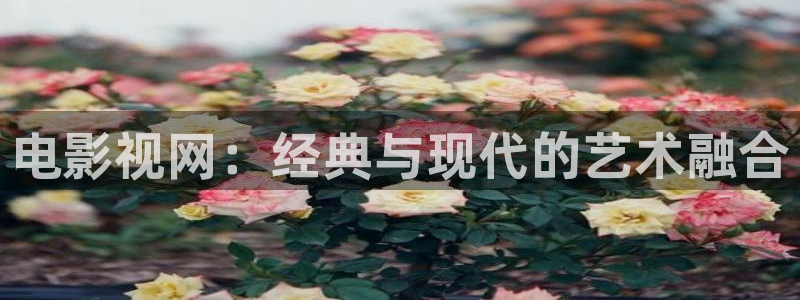 熊猫电影yy8y3(6)