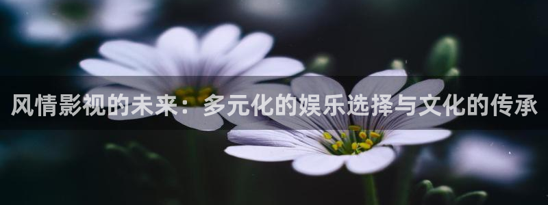 熊猫电影在线：风情影视的未来：多元化的娱乐选择与文化的传承