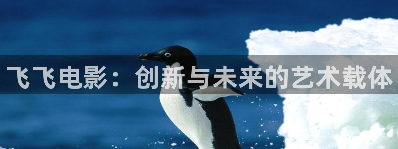 电影大熊猫：飞飞电影：创新与未来的艺术载体