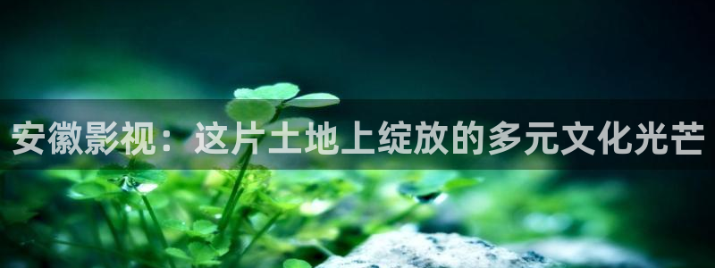 熊猫电影yy8y4高清版怎么看