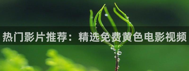 黑熊猫影院