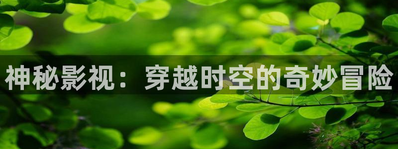 熊猫客：神秘影视：穿越时空的奇妙冒险