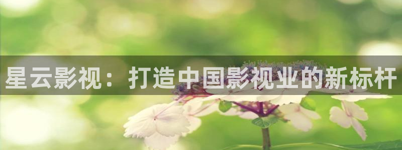 熊猫影视在线观看：星云影视：打造中国影视业的新标杆