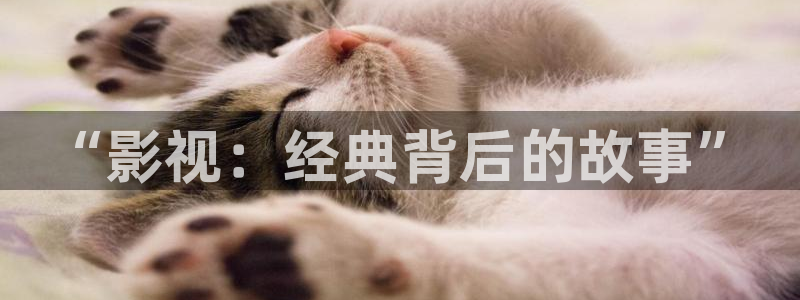 熊猫电影yy8y4高清版怎么看：“影视：经典背后的故事”