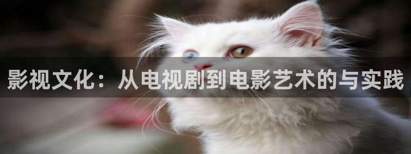 熊猫影院入口